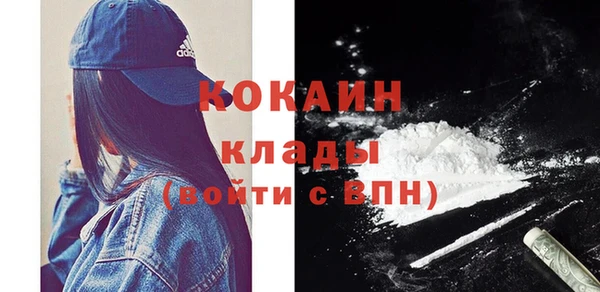 молекула духа Инсар