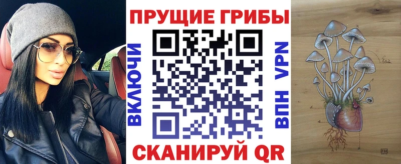 Купить закладки  Евпатория  Галлюциногенные грибы Magic Shrooms 